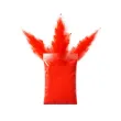 proszek holi czerwony godan 70g
