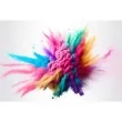 proszek holi czerwony kolory holi 70 g