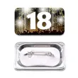 przypinka 18 urodziny prostokatna kolor mix 38x58 mm