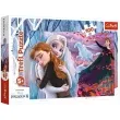 puzzle frozen na zawsze razem trefl 100 elementow