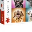puzzle zabawne psie portrety trefl 1000 elementow