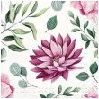 serrwetki kwiat dalii paw 30 cm 20 szt