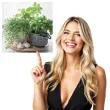 serwetki aromat ziol paw 33 cm 20 szt