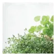 serwetki aromat ziol paw 33 cm 20 szt