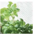 serwetki aromat ziol paw 33 cm 20 szt