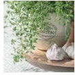 serwetki aromat ziol paw 33 cm 20 szt