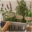 serwetki aromatyczne ziola maki 33 cm 20 szt