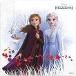 serwetki frozen 2 kraina lodu eko procos 33z33 cm 20 szt