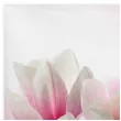 serwetki galazka magnolii rozowa maki 33 cm 20 szt