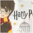 serwetki harry potter boland 33 cm 20 szt