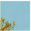 serwetki i komunia blekitno zlote gajo 33 cm 20 szt