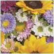 serwetki kolorowe letnie kwiaty maki 33 cm 20 szt