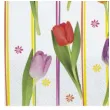 serwetki kolorowe tulipany i paski maki 33 cm 20 szt