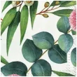 serwetki liscie eukaliptusa paw 33 cm 20 szt