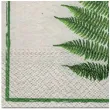 serwetki liscie paproci paw 33 cm 20 szt