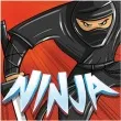 serwetki ninja amscan 25 cm 16 szt