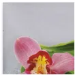 serwetki orchidea na kamieniu maki 33 cm 20 szt