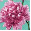 serwetki piekna peonia paw 33 cm 20 szt