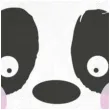 serwetki urodzinowe safari z panda partypal 33 cm 20 szt