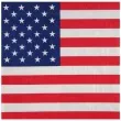 serwetki usa party santex 33 cm 20 szt