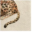 serwetki we care leopard paw 33 cm 20 szt