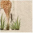 serwetki we care zyrafa paw 33 cm 20 szt