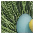 serwetki wielkanoc barwione jajka w trawie maki 33 cm 20 szt
