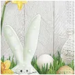 serwetki wielkanoc krolik w trawie maki 33 cm 20 szt