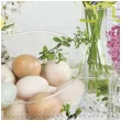 serwetki wielkanoc naturalne jajka maki 33 cm 20 szt