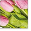 serwetki wielkanoc rozowe tulipany paw 33 cm 20 szt