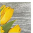 serwetki wielkanoc tulipany na drewnie maki 33 cm 20 szt