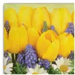 serwetki wielkanoc tulipany z krolikami maki 33 cm 20 szt