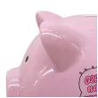skarbonka swinka na wymarzona kiecke rozowa bgtech