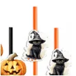 slomki halloween kot czarownicy z dynia mix 19 5 cm 6 szt