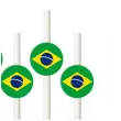 slomki panstwa swiata brazylia 19 5 cm 6 szt