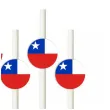 slomki panstwa swiata chile 19 5 cm 6 szt