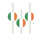 slomki panstwa swiata irlandia 19 5 cm 6 szt