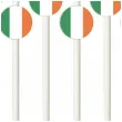 slomki panstwa swiata irlandia 19 5 cm 6 szt