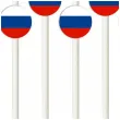 slomki panstwa swiata rosja 19 5 cm 6 szt