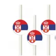 slomki panstwa swiata serbia 19 5 cm 6 szt