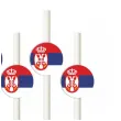 slomki panstwa swiata serbia 19 5 cm 6 szt