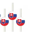 slomki panstwa swiata slowacja 19 5 cm 6 szt