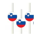 slomki panstwa swiata slowenia 19 5 cm 6 szt