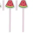 slomki papierowe arbuzy summer party 20 cm partypal 8 szt