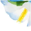 spinka hawajska aloha kwiaty niebieska godan