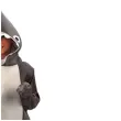 stroj dla dzieci rekin szary fyasa 140 152 cm
