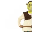 stroj dla dzieci shrek deluxe smiffys rozm m