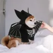 stroj dla psa halloween nietoperz czarny partydeco s