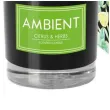 swieca zapachowa w szkle ambient cytrusy i ziola bispol 85 80 mm