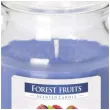 swieca zapachowa w szkle sloiczek lesne owoce bispol 28 h 10 cm